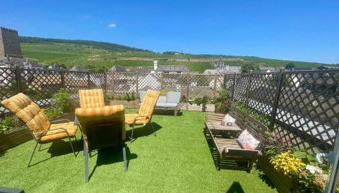 Villa Sturm Rüdesheim am Rhein - Foto 5, Garden