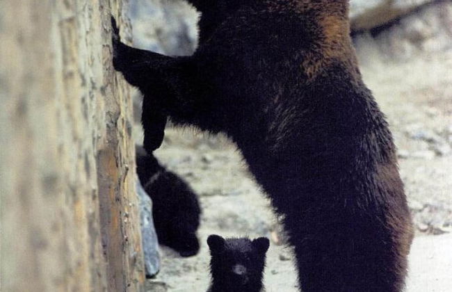 House in Rochefort With Large Park Where the Ave Flows - Foto 37