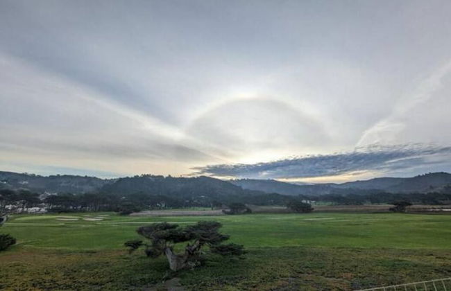 Coastal Palm Tree 2BR Retreat Ocean View - Foto 42