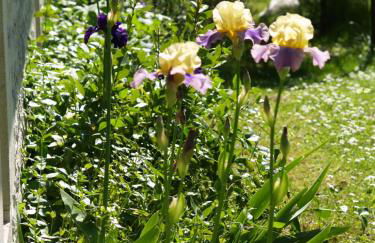 La Vayssade - Grand Gîte de charme - 14 pers - Piscine & Jacuzzi - Photo 57