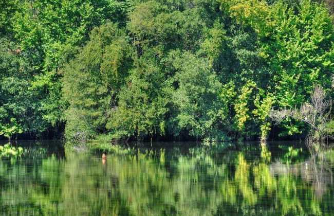 Holiday Home in Ponte de Lima With Pool - Foto 31