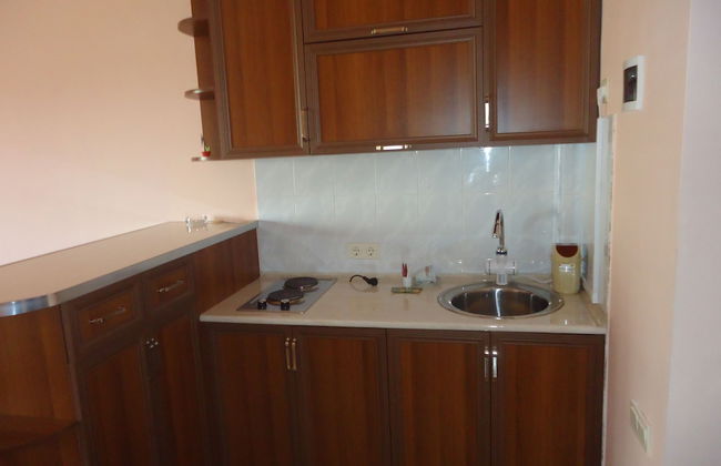 Apartments Tigran Petrosyan - Photo 19