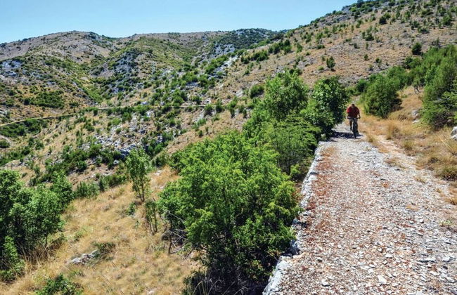Countryside Idyllic Holiday Home With Pool - Foto 17