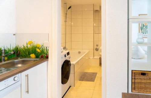 TOP! Gemütliches Studio-Apartment zentral, WLAN, Küche - Foto 9