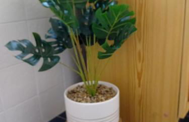 Bas de villa avec jardin piscine clim proche plages calanques - Foto 17