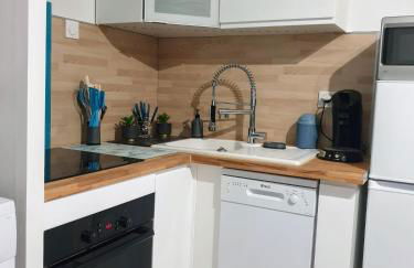 appartement vue mer,accès direct plage,fibre,clim,parking public gratuit - Foto 15