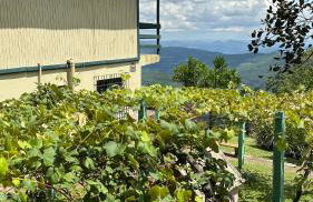 Refúgio Linda Vista - Foto 38