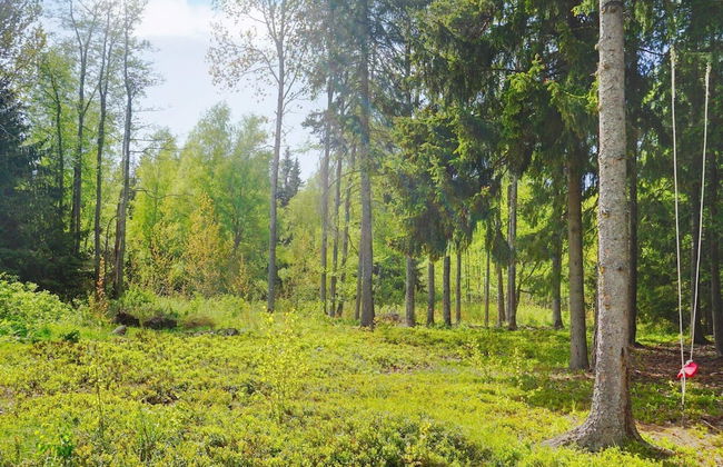 5 Person Holiday Home in Grisslehamn-by Traum - Photo 12