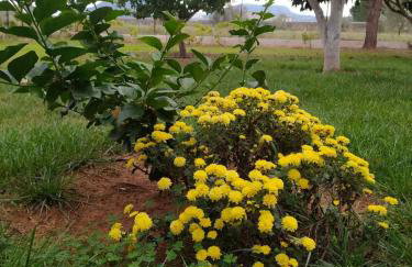 Ktima Anastasia - Foto 74