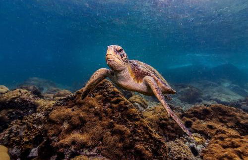 Conforto na Prainha - Rosa Náutica - Photo 39