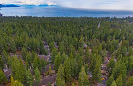 Tahoe Dreamin by Avantstay Central Location - Foto 86
