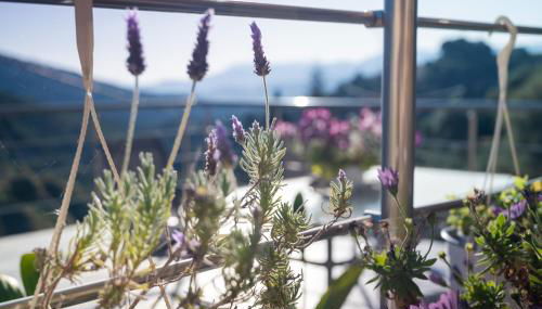 Iris Cretan Mountain Escape - Photo 5