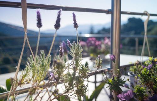 Iris Cretan Mountain Escape - Photo 5