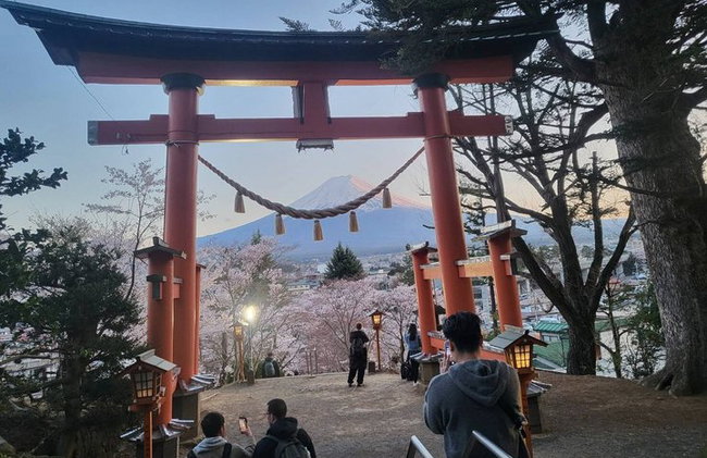 Tour privato in auto al Monte Fuji da Tokyo - Foto 12
