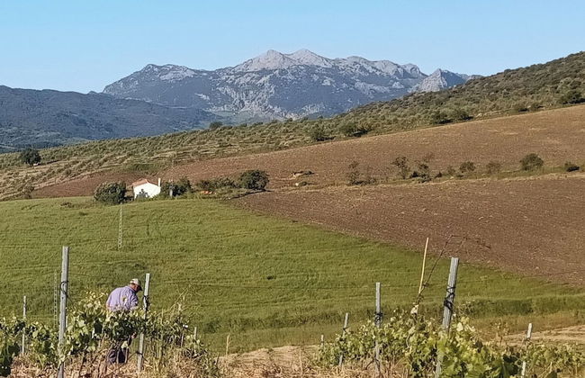 Nature Lovers Escape on an Eco-friendly Vineyard - Foto 22