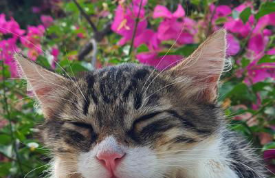 Peace&love-sea studio - Photo 45