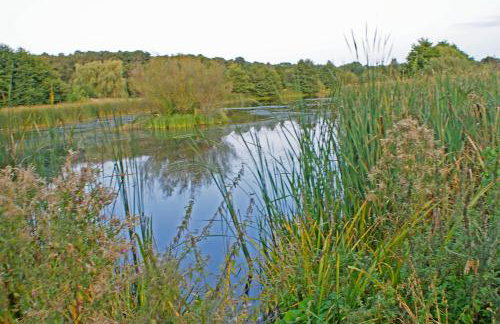 IRS ROYAL APARTMENTS Apartamenty IRS Nadmorski Dwór - Foto 44