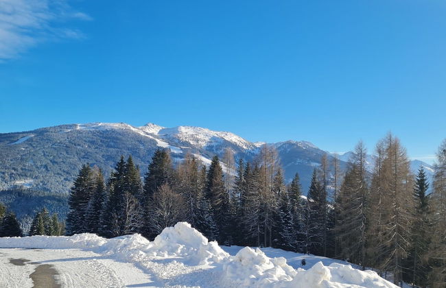 Flat in Wagrain Near Ski Slopes - Foto 24