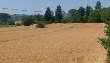 Appartamento Della Pia - Foto 3