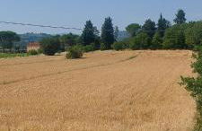 Appartamento Della Pia - Foto 3