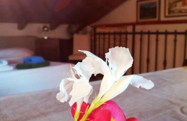 La Calletta - Foto 1