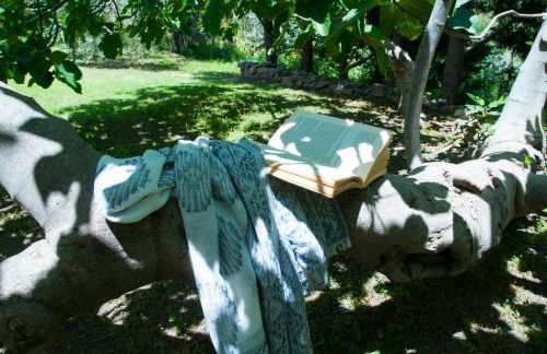 Antico Borgo Etneo Country Hotel - Foto 124