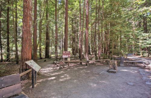 Redwoods Cabin with Hot Tub Walk to Russian River! - Foto 38