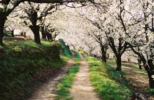 Apartamentos Dacris - Foto 52