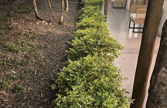 Casa Boutique Remolino - Foto 36