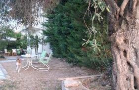Aeria View - Foto 55