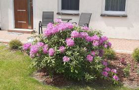 Apartament Pod Dębem - Foto 11