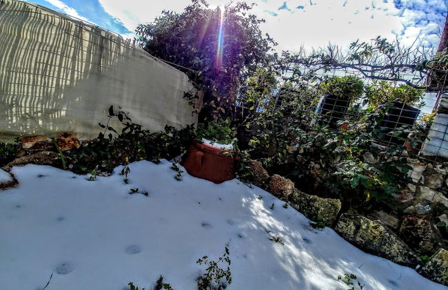 Thymes traditional house - Foto 29