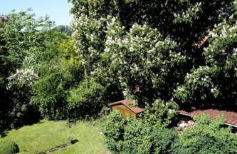 Haus Keppelborg: ZI Elisabeth mit Burgmauerblick - Foto 21