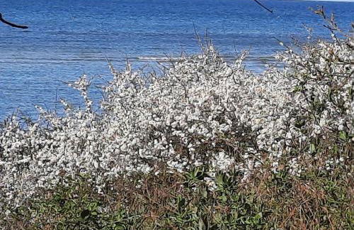 Wormshöft 16 - Foto 13