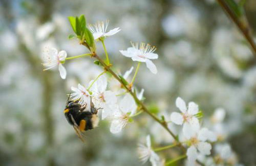 Ferienwohnung am Kunterbunthof - Foto 33
