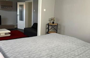 Gesamte Wohnung mit Parkplatz - Foto 17