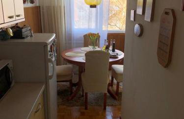 Ami-go/ Blizu zračne luke Zagreb - Foto 3