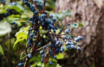 Talblick 5, mit Sauna und wunderschönen Panoramablick NEU - Foto 41