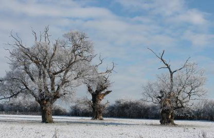 Colston Hall Cottages - Photo 90