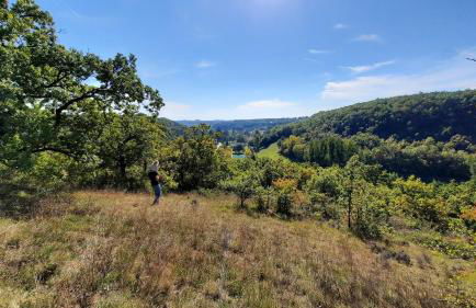 La Grange, maison familiale de luxe avec 4 chambres dans le Tarn-et-Garonne - Foto 29