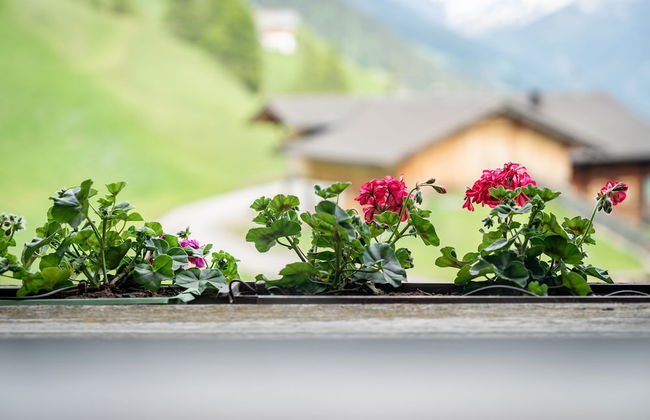 Appartmenthaus Gutwenger Selmerhof - Foto 51