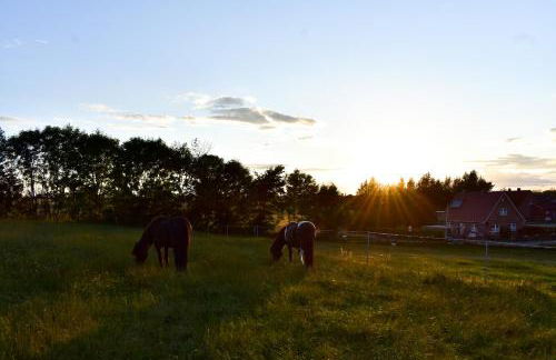 Ostseebauernhof Schönhagen - Foto 48