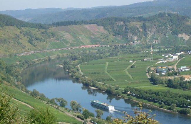 Holiday Apartment Moselle Beach 1 - Photo 27