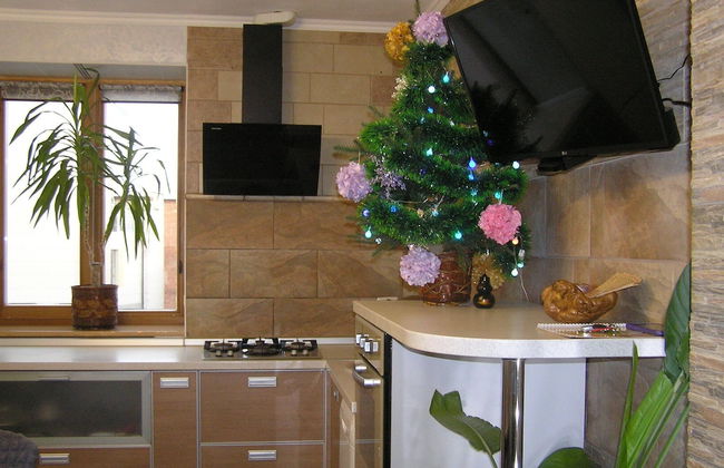 Apartment on Radischeva 23 apt 20 - Photo 37