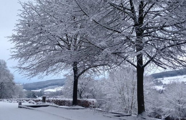 Spacious Pet-friendly Castle in Stavelot - Photo 43