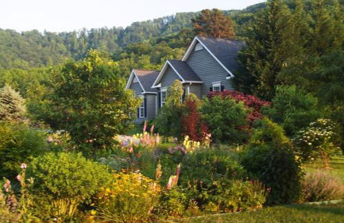 Three Springs Plus - Foto 41