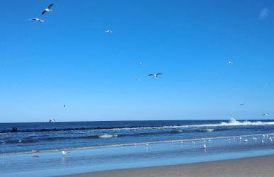 Dom Wczasowy FALA - Foto 44