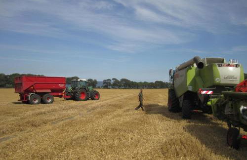 Ferienbauernhof Liesenberg Meerblickhaus Strandmuschel - Foto 56