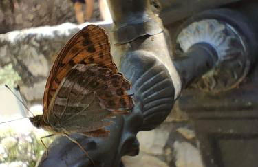 Alloggio La Perla, quiete ed eleganza con vista - Foto 43