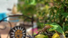 Giardino Dei Limoni Apartment - Foto 2, Garden